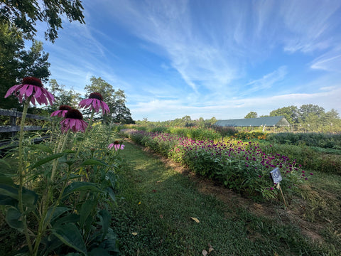 Private General Herb Garden Tour with Q&A