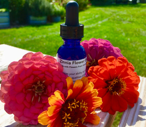 Zinnia Flower Essence