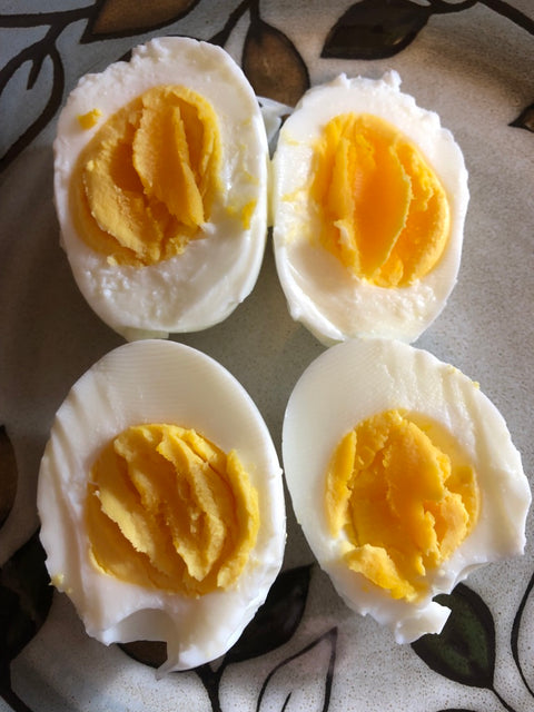 Pasture Nourished Eggs Winter Share