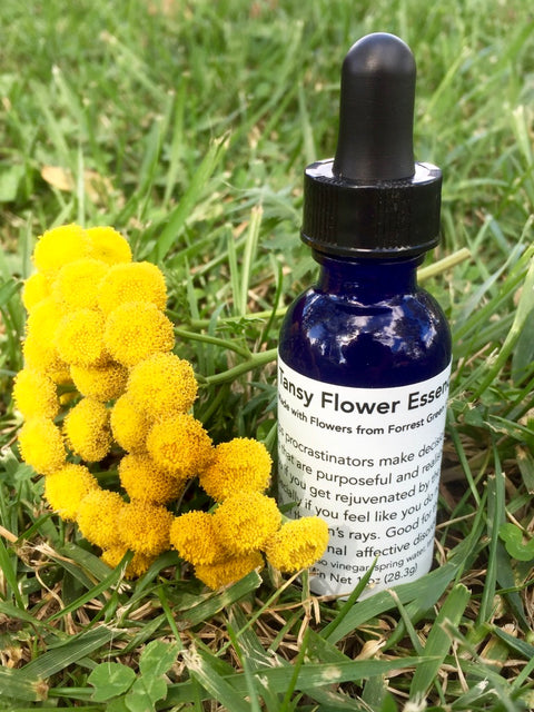 Tansy Flower Essence