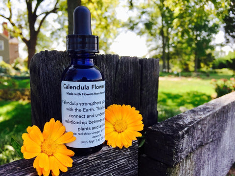 Calendula Flower Essence