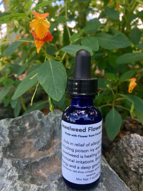 Jewelweed Flower Essence