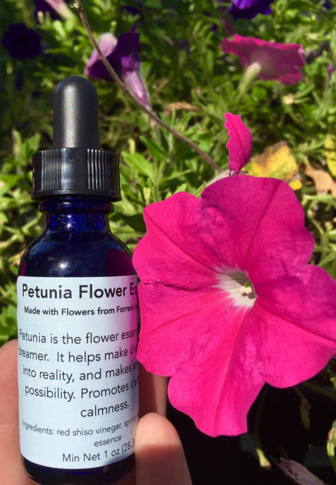 Petunia Flower Essence