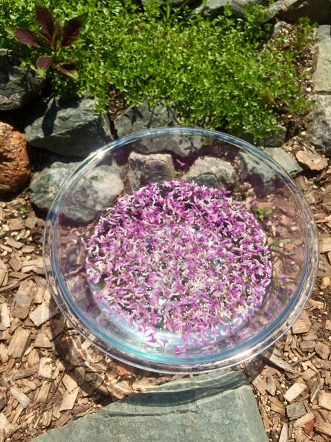 Flower Essence 101 Private Workshop