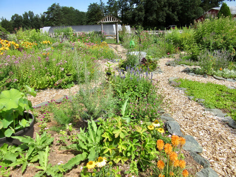 Private General Herb Garden Tour with Q&A