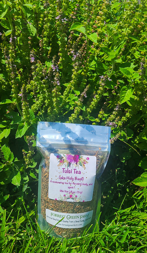 Tulsi Tea