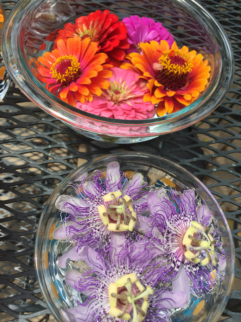 Flower Essence 101 Private Workshop