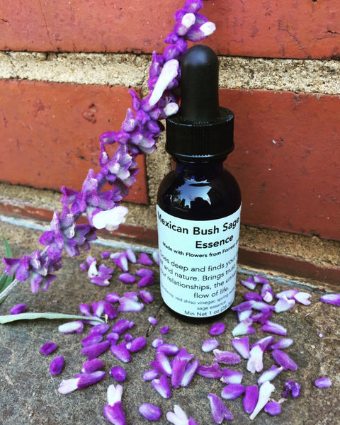 Mexican Bush Sage Flower Essence
