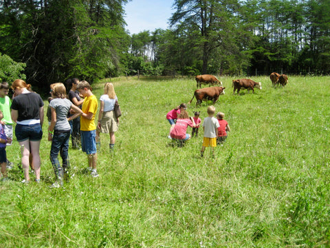 Homeschool Educational Regenerative Agriculture Farm Tour