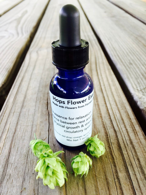 Hops Flower Essence