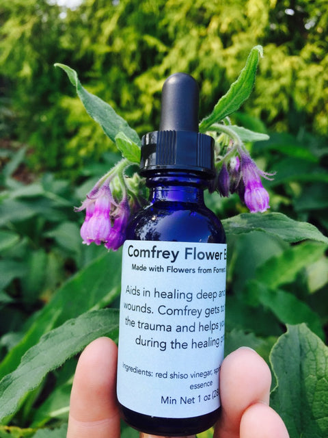 Comfrey Flower Essence