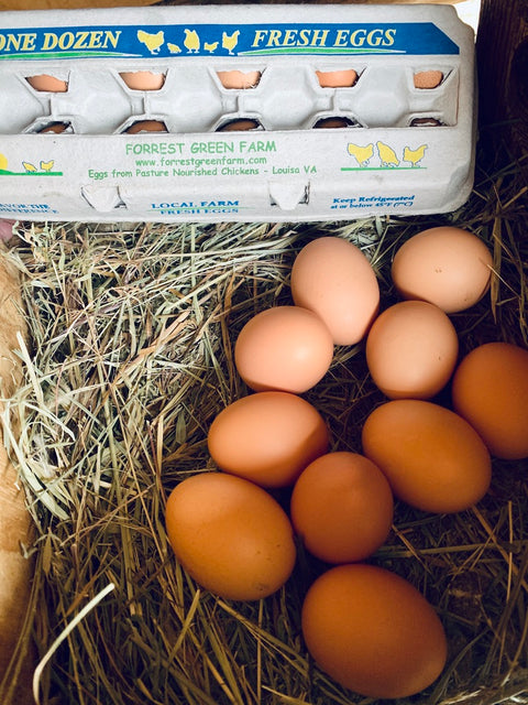 Pasture Nourished Eggs Winter Share