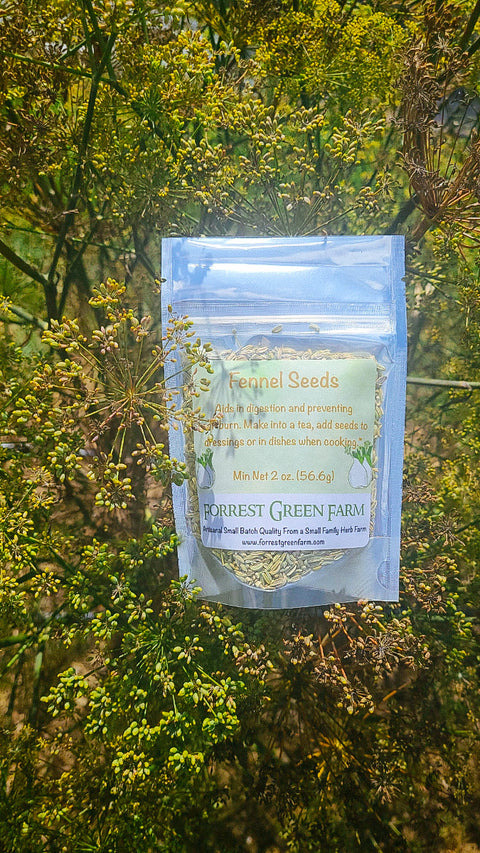 Fennel Seeds