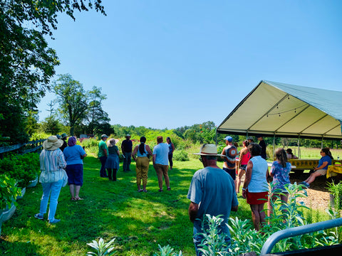 Green Pavilion Tent Rental