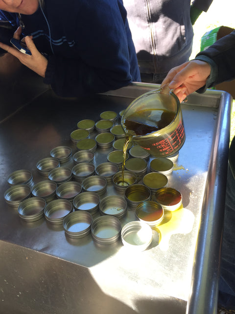 Herbal Healing Salves Private Workshop