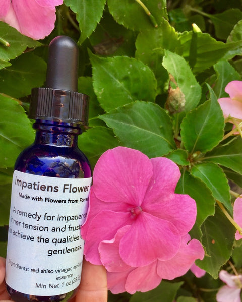 Impatiens Flower Essence