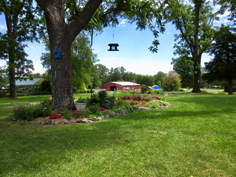 Private General Herb Garden Tour with Q&A