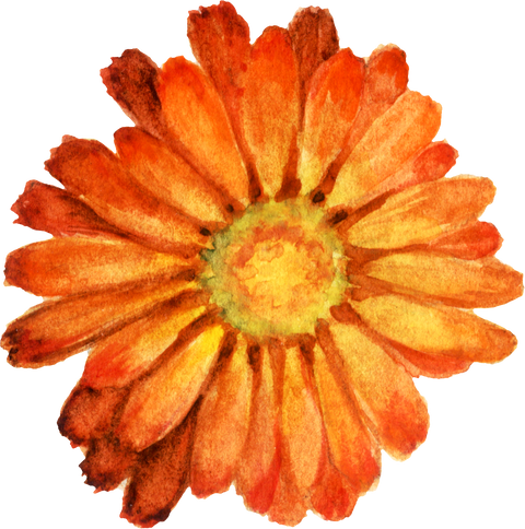 Farm • Gardens • Flowers (FGF) Festival