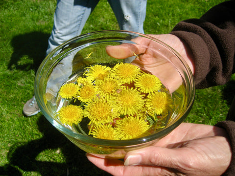 Flower Essence 101 Private Workshop