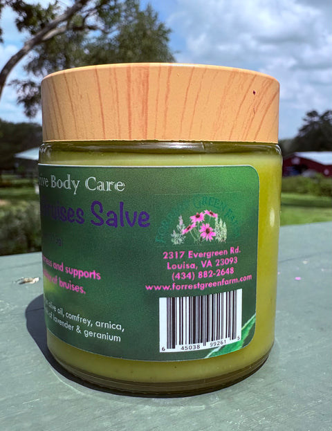 Bumps & Bruises Salve