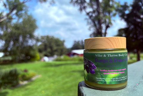 Bumps & Bruises Salve