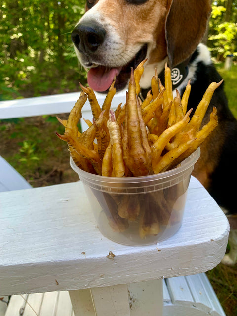 Dehydrated FGF Chicken Feet