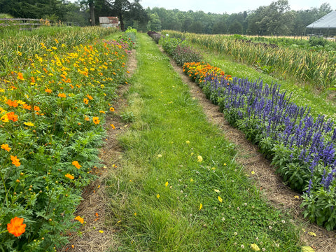 Garden Tour