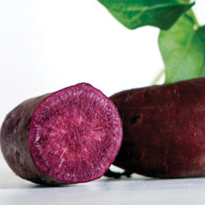 SESE Sweet Potatoes