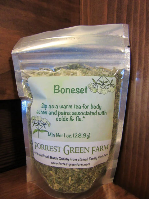 Boneset