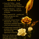 Goddess Glow Rose & Frankincense Face Cream- Skin Repair & Moisturizing