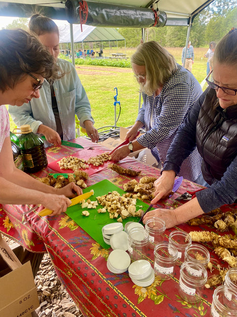 Whole Living Class: A Comprehensive Course on Herbalism & Gardening