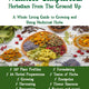 Wellness Simplified! Herbalism From The Ground Up