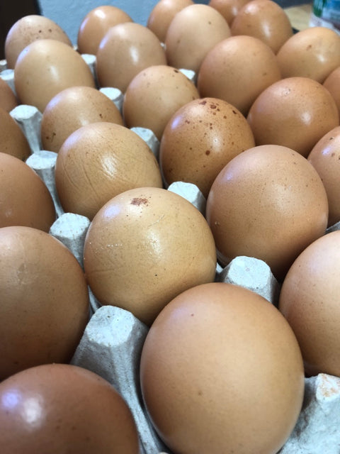 Pasture Nourished Eggs Winter Share