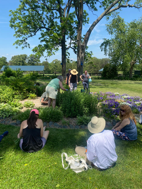 Whole Living Class: A Comprehensive Course on Herbalism & Gardening