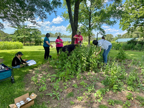 Whole Living Class: A Comprehensive Course on Herbalism & Gardening