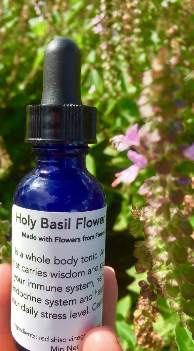 Holy Basil Tulsi Flower Essence Forrest Green Farm