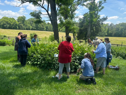 Whole Living Class: A Comprehensive Course on Herbalism & Gardening