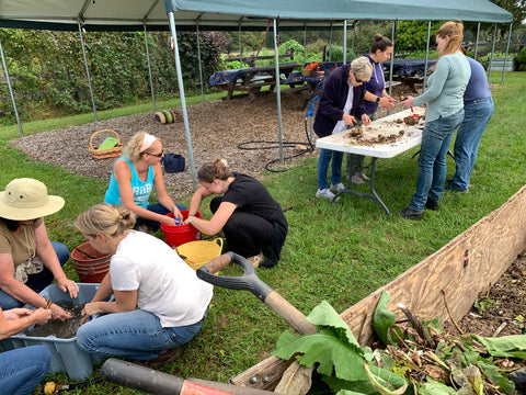 Whole Living Class: A Comprehensive Course on Herbalism & Gardening