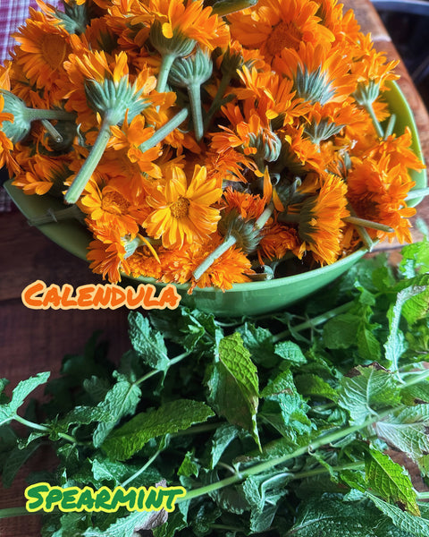 Get Gardening! Workshop Series