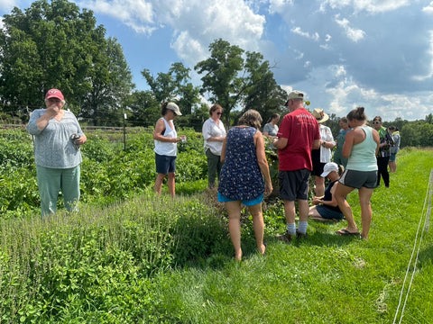 Whole Living Class: A Comprehensive Course on Herbalism & Gardening