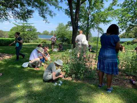 Whole Living Class: A Comprehensive Course on Herbalism & Gardening