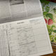 Stella Natura 2025 Biodynamic Planting Calendar