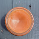 Antiviral Salve