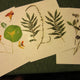 Herbarium Class (Past Whole Living Class Participants Only)