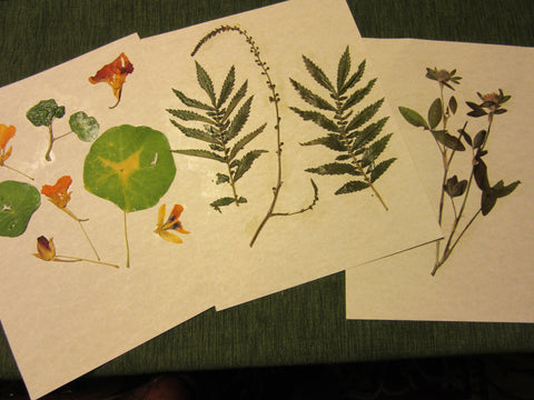 Herbarium Class (Past Whole Living Class Participants Only)