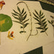 Herbarium Class (Past Whole Living Class Participants Only)