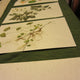 Herbarium Class (Past Whole Living Class Participants Only)