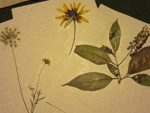 Herbarium Class (Past Whole Living Class Participants Only)