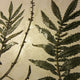 Herbarium Class (Past Whole Living Class Participants Only)