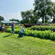 Advanced Herbalism Class (Private Class)